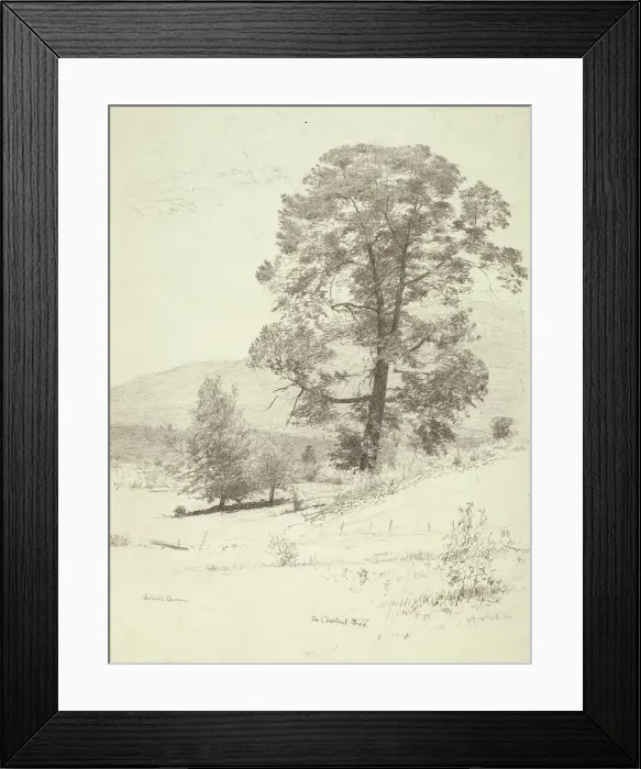 Framed Print : The Chestnut Tree, c1920s. Creator: Bolton Coit Brown Framed Print : The Chestnut Tree, c1920s. Creator: Bolton Coit Brown