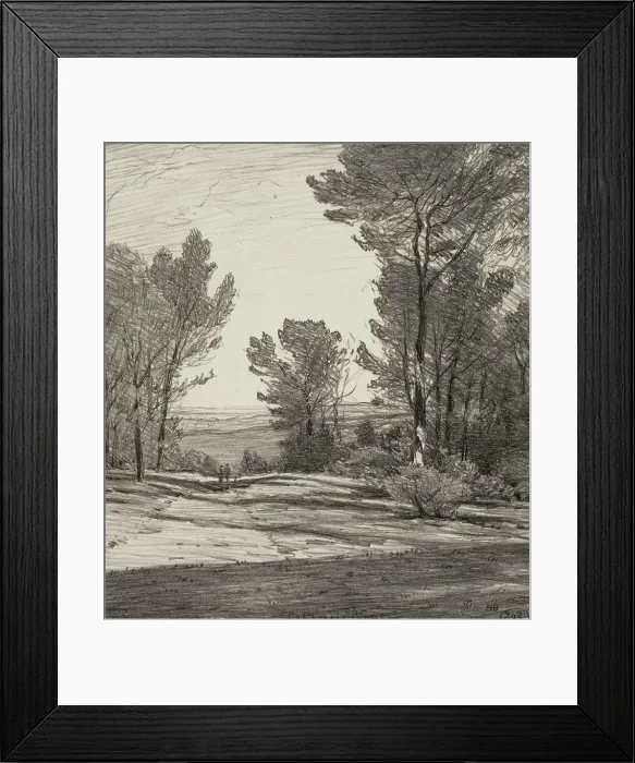 Framed Print : California Pines, 1919. Creator: Bolton Coit Brown Framed Print : California Pines, 1919. Creator: Bolton Coit Brown