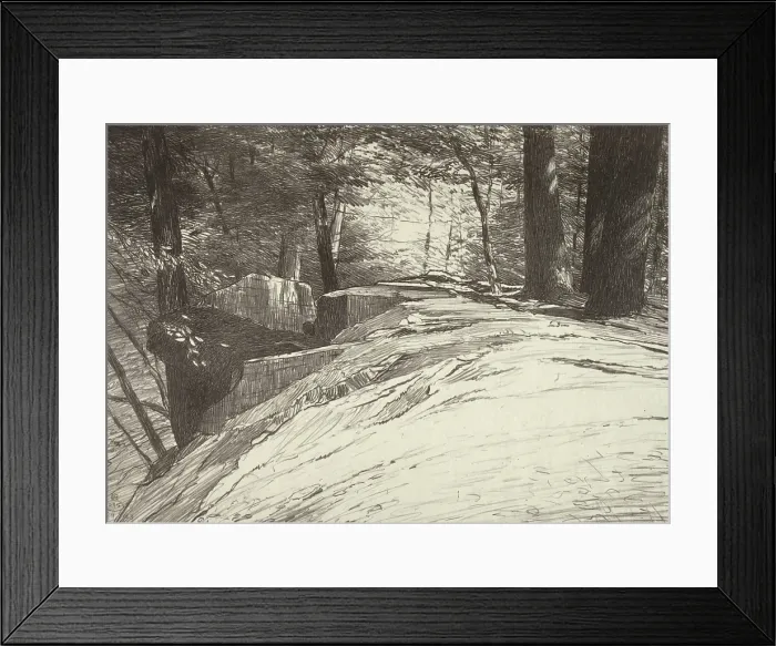 Framed Print : Rocks and Trees, 1923. Creator: Bolton Coit Brown Framed Print : Rocks and Trees, 1923. Creator: Bolton Coit Brown