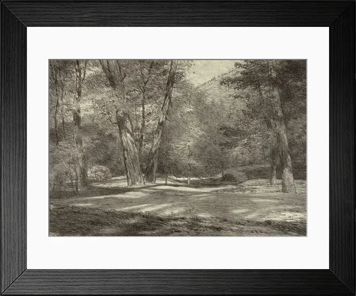 Framed Print : Sierra Woods, 1920s. Creator: Bolton Coit Brown Framed Print : Sierra Woods, 1920s. Creator: Bolton Coit Brown