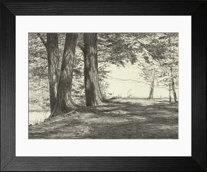 Framed Print : Three Maples, 1920. Creator: Bolton Coit Brown Framed Print : Three Maples, 1920. Creator: Bolton Coit Brown