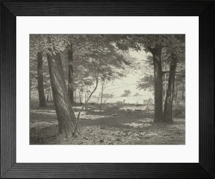 Framed Print : Edge of the Woods, c1920s. Creator: Bolton Coit Brown Framed Print : Edge of the Woods, c1920s. Creator: Bolton Coit Brown