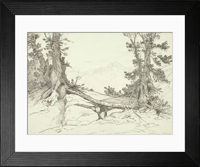 Framed Print : Sierra Pines, 1924. Creator: Bolton Coit Brown Framed Print : Sierra Pines, 1924. Creator: Bolton Coit Brown