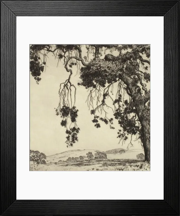 Framed Print : Weeping Oaks, c1900-1952. Creator: Alfred Ray Burrell Framed Print : Weeping Oaks, c1900-1952. Creator: Alfred Ray Burrell
