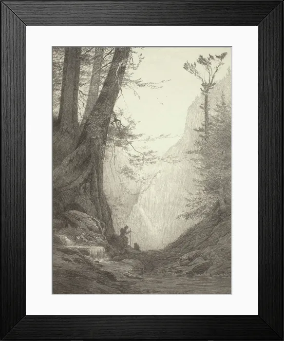 Framed Print : Big Cedars, 1923. Creator: Bolton Coit Brown Framed Print : Big Cedars, 1923. Creator: Bolton Coit Brown