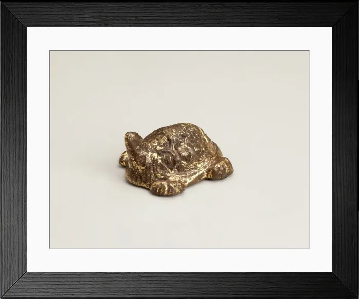 Framed Print : Turtle, 618-906. Creator: Unknown Framed Print : Turtle, 618-906. Creator: Unknown