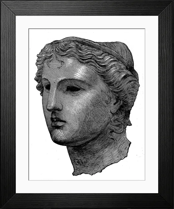 Framed Print : The Castellani Collection in the British Museum - bronze head of Venus, 1873. Creator: Unknown Framed Print : The Castellani Collection in the British Museum - bronze head of Venus, 1873. Creator: Unknown