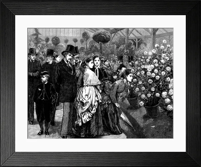 Framed Print : A rose show at the Horticultural Society's Gardens, South Kensington, 1873. Creator: Unknown. A rose show at the Horticultural Society's Gardens, South Kensington, 1873. Creator: Unknown Framed Print : A rose show at the Horticultural Society's Gardens, South Kensington, 1873. Creator: Unknown. A rose show at the Horticultural Society's Gardens, South Kensington, 1873. Creator: Unknown