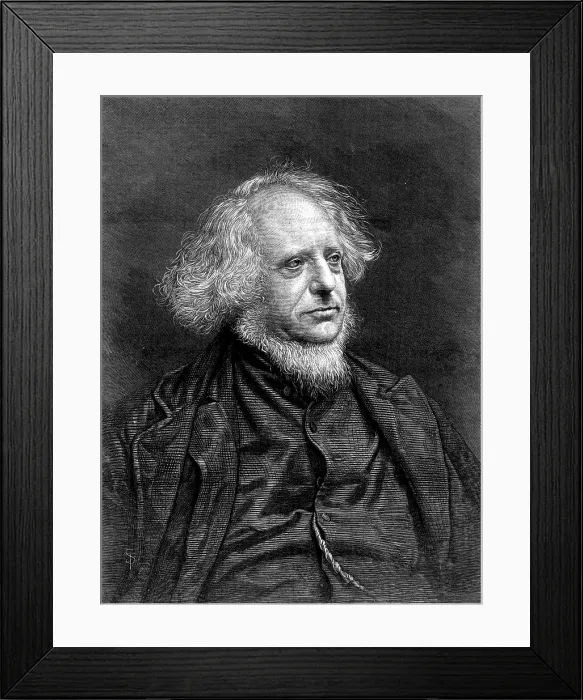 Framed Print : Mr. Henry Cole, C.B, late...Director of the South Kensington Museum, 1873. Creator: Unknown Framed Print : Mr. Henry Cole, C.B, late...Director of the South Kensington Museum, 1873. Creator: Unknown