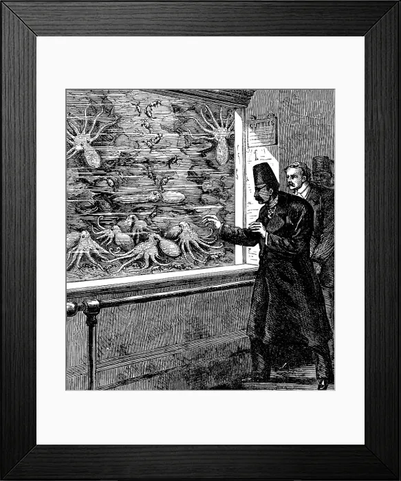 Framed Print : At the Crystal Palace: feeding the cuttle-fish in the Aquarium, 1873. Creator: Unknown Framed Print : At the Crystal Palace: feeding the cuttle-fish in the Aquarium, 1873. Creator: Unknown