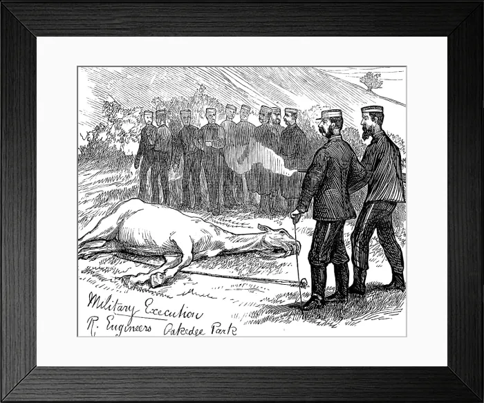 Framed Print : The Autumn Campaign on Cannock Chase, 1873. Creator: Unknown Framed Print : The Autumn Campaign on Cannock Chase, 1873. Creator: Unknown