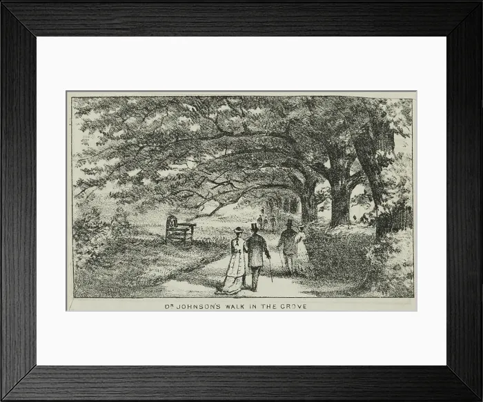 Framed Print : Dr Johnson's Walk in the Grove at Alexandra Palace, 19th century. Creator: Unknown. Dr Johnson's Walk in the Grove at Alexandra Palace, 19th century. Creator: Unknown Framed Print : Dr Johnson's Walk in the Grove at Alexandra Palace, 19th century. Creator: Unknown. Dr Johnson's Walk in the Grove at Alexandra Palace, 19th century. Creator: Unknown
