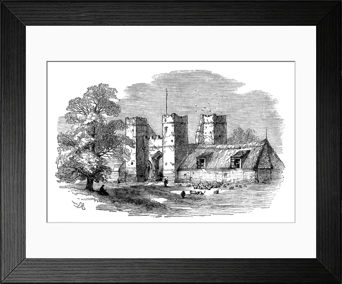 Framed Print : The Isle of Thanet: Daundelion, 1873. Creator: Unknown Framed Print : The Isle of Thanet: Daundelion, 1873. Creator: Unknown