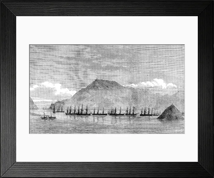 Framed Print : Carthagena Harbour and Escombrera Bay, with the Squadron assembled there, 1873. Creator: Unknown Framed Print : Carthagena Harbour and Escombrera Bay, with the Squadron assembled there, 1873. Creator: Unknown