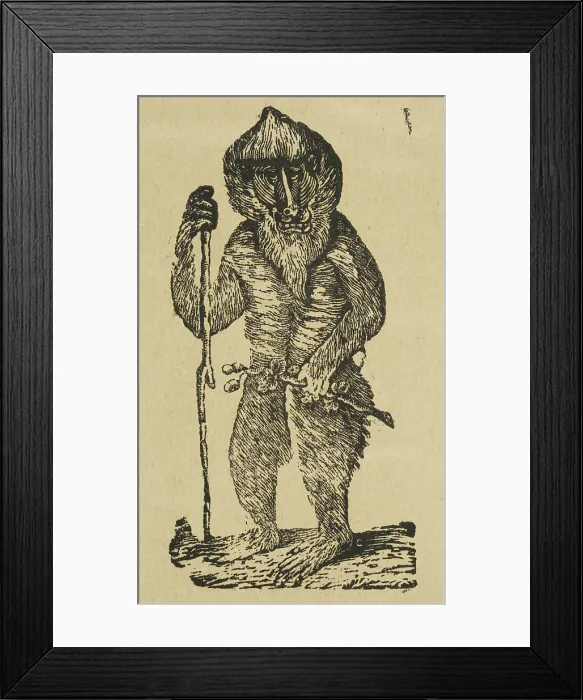 Framed Print : Active Gibbon, 1840. Creator: Unknown Framed Print : Active Gibbon, 1840. Creator: Unknown