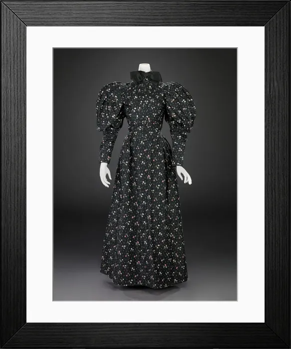 Framed Print : Dress (Bodice, Skirt, Petticoat), 1894-1896. Creator: Unknown Framed Print : Dress (Bodice, Skirt, Petticoat), 1894-1896. Creator: Unknown