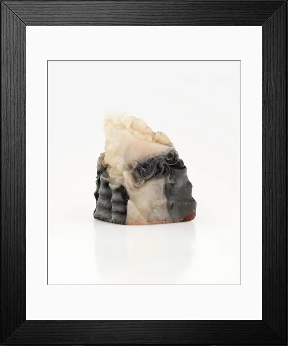 Framed Print : Seal, 19th century. Creator: Unknown Framed Print : Seal, 19th century. Creator: Unknown