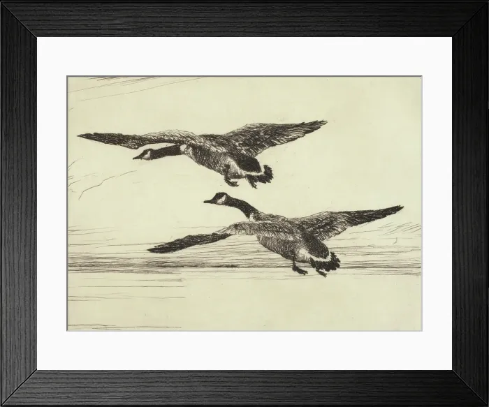Framed Print : Two Black Geese, 1931. Creator: Frank Weston Benson Framed Print : Two Black Geese, 1931. Creator: Frank Weston Benson
