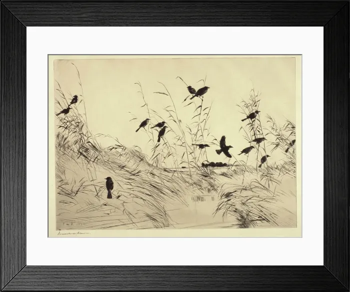 Framed Print : Blackbirds and Rushes, 1920. Creator: Frank Weston Benson Framed Print : Blackbirds and Rushes, 1920. Creator: Frank Weston Benson