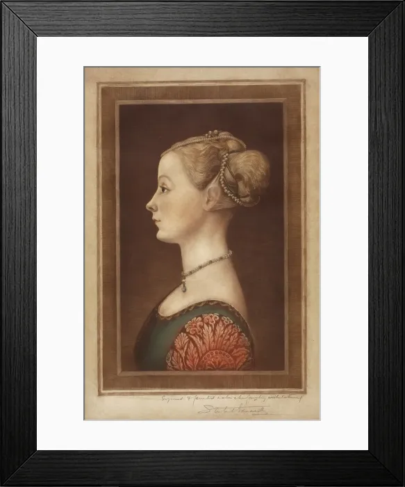 Framed Print : Portrait of a Lady, c1890s. Creator: Samuel Arlent Edwards Framed Print : Portrait of a Lady, c1890s. Creator: Samuel Arlent Edwards