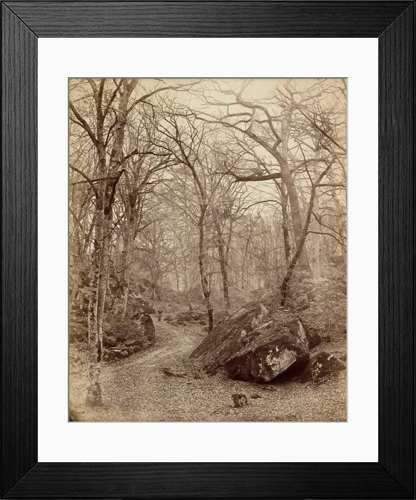 Framed Print : Fontainebleau, about 1870. Creator: Charles Victor Famin Framed Print : Fontainebleau, about 1870. Creator: Charles Victor Famin