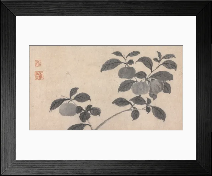 Framed Print : Branch of Fruit Bearing Tree, c16th century. Creator: Unknown Framed Print : Branch of Fruit Bearing Tree, c16th century. Creator: Unknown