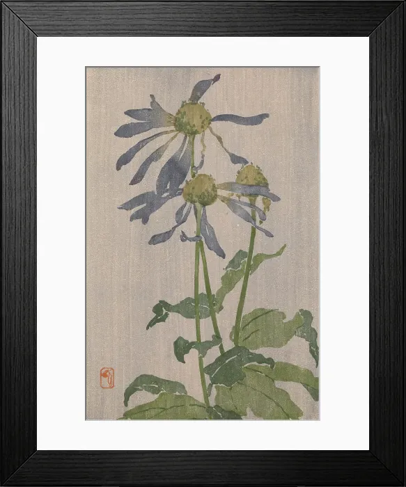 Framed Print : Purple Daisy (also known as Chrysantheme Simple), 1907-1909. Creator: Edna Boies Hopkins Framed Print : Purple Daisy (also known as Chrysantheme Simple), 1907-1909. Creator: Edna Boies Hopkins