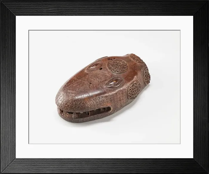 Framed Print : Snake head, 19th century. Creator: Unknown Framed Print : Snake head, 19th century. Creator: Unknown