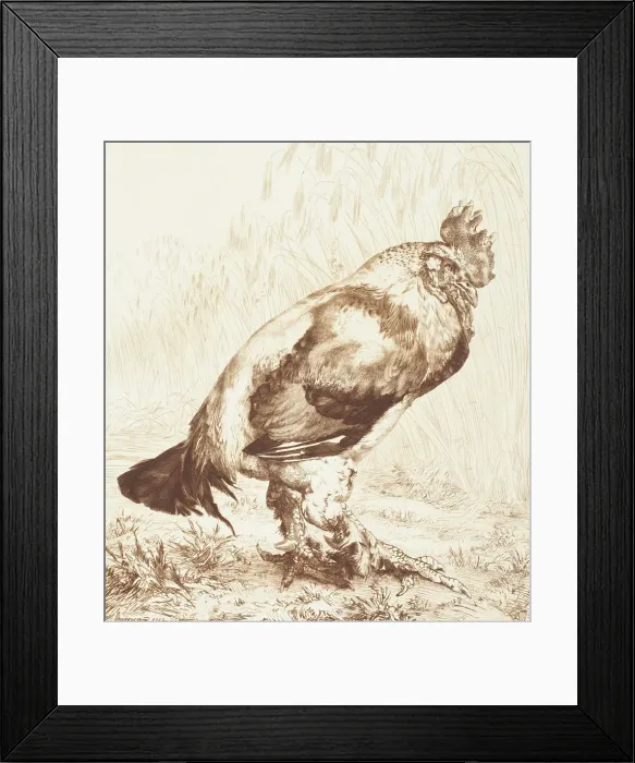 Framed Print : Le Vieux Coq (The Old Rooster), 1882. Creator: Felix Bracquemond Framed Print : Le Vieux Coq (The Old Rooster), 1882. Creator: Felix Bracquemond