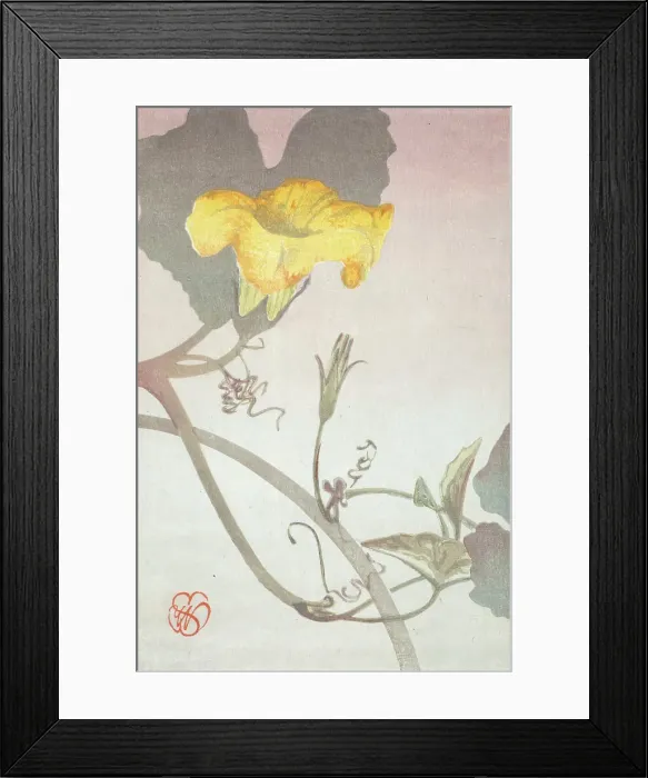 Framed Print : Squash Blossom, about 1908. Creator: Wilhelmina Seegmiller Framed Print : Squash Blossom, about 1908. Creator: Wilhelmina Seegmiller