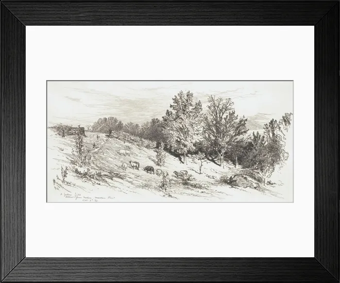 Framed Print : A Fallow Field, 1883. Creator: James David Smillie Framed Print : A Fallow Field, 1883. Creator: James David Smillie