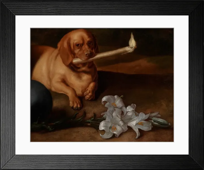 Framed Print : Dog with a Candle and Lilies, about 1660s. Creator: Juan de Pareja Framed Print : Dog with a Candle and Lilies, about 1660s. Creator: Juan de Pareja