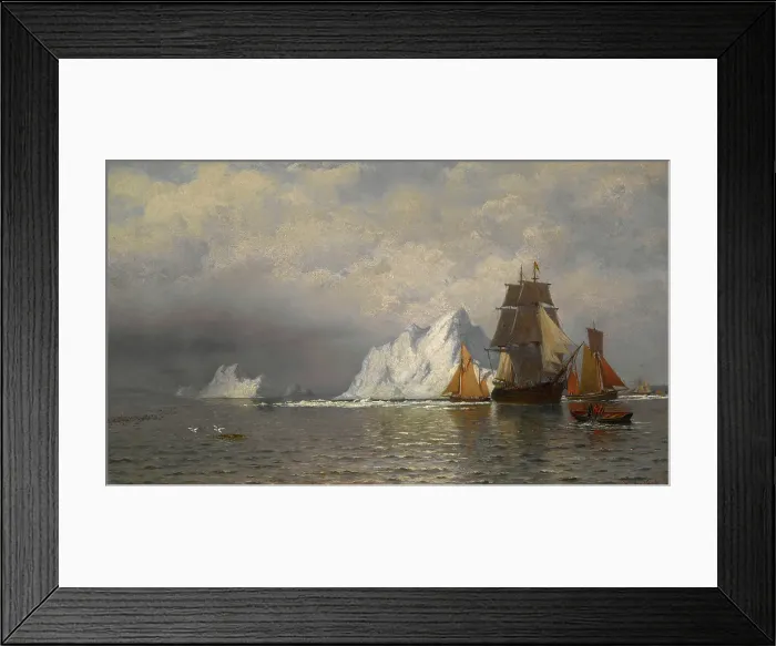 Framed Print : Whaler and Fishing Vessels near the Coast of Labrador, about 1880. Creator: William Bradford Framed Print : Whaler and Fishing Vessels near the Coast of Labrador, about 1880. Creator: William Bradford