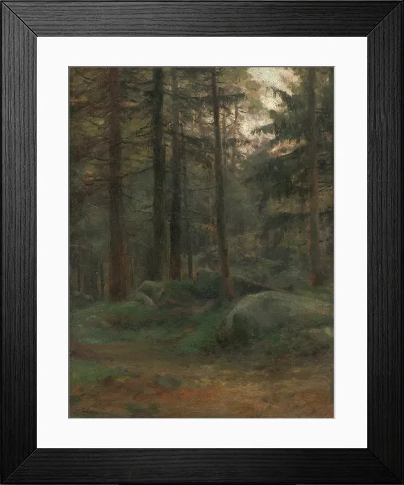 Framed Print : Interior of Coniferious Woods with Rocks, 1895-1900. Creator: Ludovit Cordak Framed Print : Interior of Coniferious Woods with Rocks, 1895-1900. Creator: Ludovit Cordak