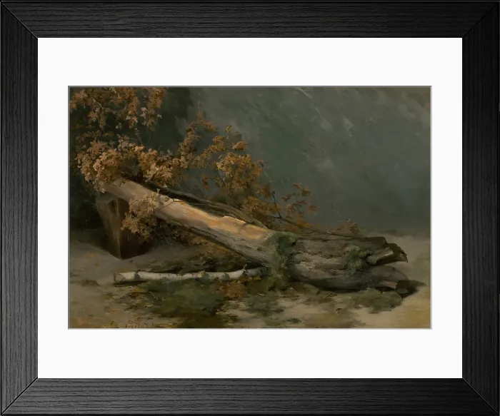 Framed Print : Study of Dry Tree, around 1894-1895. Creator: Ludovit Cordak Framed Print : Study of Dry Tree, around 1894-1895. Creator: Ludovit Cordak