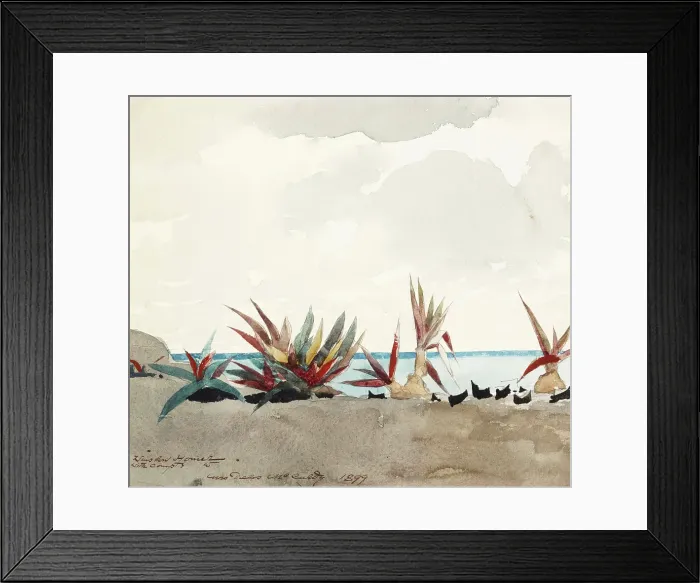 Framed Print : Nassau Beach with Century Plants, 1899. Creator: Winslow Homer Framed Print : Nassau Beach with Century Plants, 1899. Creator: Winslow Homer