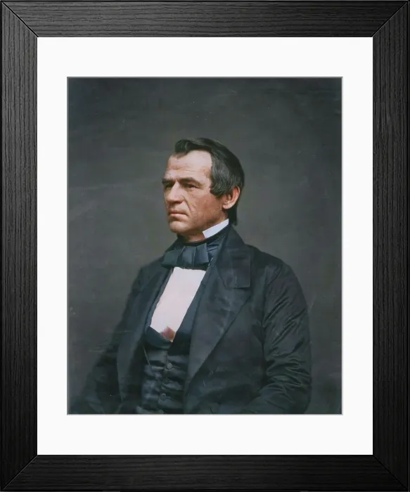 Framed Print : Andrew Johnson, half-length portrait, seated, facing left, 1860. Creator: Jesse Harrison Whitehurst Framed Print : Andrew Johnson, half-length portrait, seated, facing left, 1860. Creator: Jesse Harrison Whitehurst