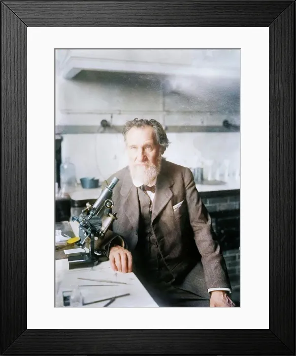 Framed Print : Elie Metchnikoff, between c1910 and c1915. Creator: Bain News Service Framed Print : Elie Metchnikoff, between c1910 and c1915. Creator: Bain News Service
