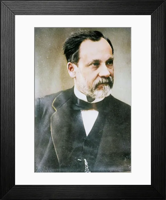 Framed Print : Dr. Pastuer [i.e. Pasteur], between c1910 and c1915. Creator: Bain News Service