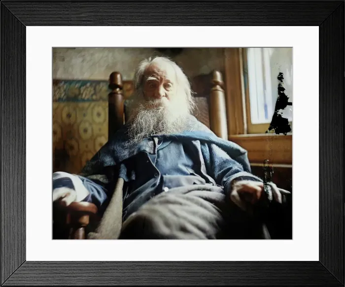 Framed Print : Walt Whitman in Camden, N.J. c. 1891. Creator: Thomas Eakins