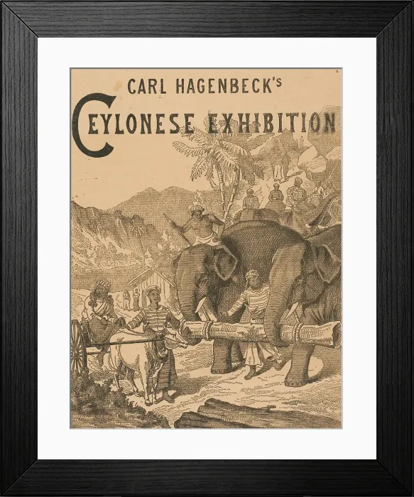 Framed Print : Carl Hagenbeck's Ceylonese Exhibition, 1886. Creator: Unknown. Carl Hagenbeck's Ceylonese Exhibition, 1886. Creator: Unknown Framed Print : Carl Hagenbeck's Ceylonese Exhibition, 1886. Creator: Unknown. Carl Hagenbeck's Ceylonese Exhibition, 1886. Creator: Unknown