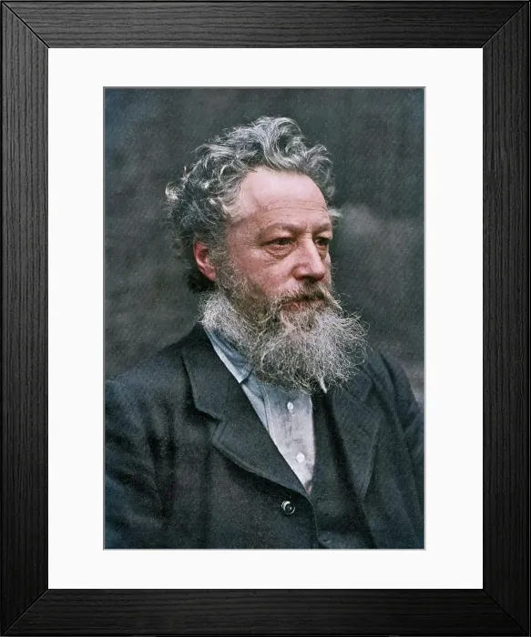 Framed Print : William Morris, English artist, writer, socialist activist and pioneer of eco-socialism, (1911). Creator: Emery Walker Framed Print : William Morris, English artist, writer, socialist activist and pioneer of eco-socialism, (1911). Creator: Emery Walker