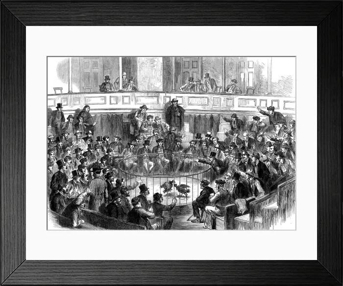 Framed Print : Sketches in Spain: a Sunday amusement at Madrid, 1873. Creator: Unknown Framed Print : Sketches in Spain: a Sunday amusement at Madrid, 1873. Creator: Unknown
