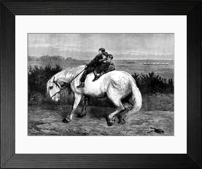 Framed Print : Equo Ne Credite Teucri! by Briton Riviere, in the exhibition at the Dudley Gallery, 1873. Creator: Unknown Framed Print : Equo Ne Credite Teucri! by Briton Riviere, in the exhibition at the Dudley Gallery, 1873. Creator: Unknown