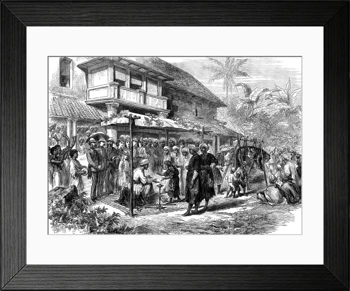 Framed Print : A tiger wedding in Coorg, India, 1873. Creator: Unknown Framed Print : A tiger wedding in Coorg, India, 1873. Creator: Unknown