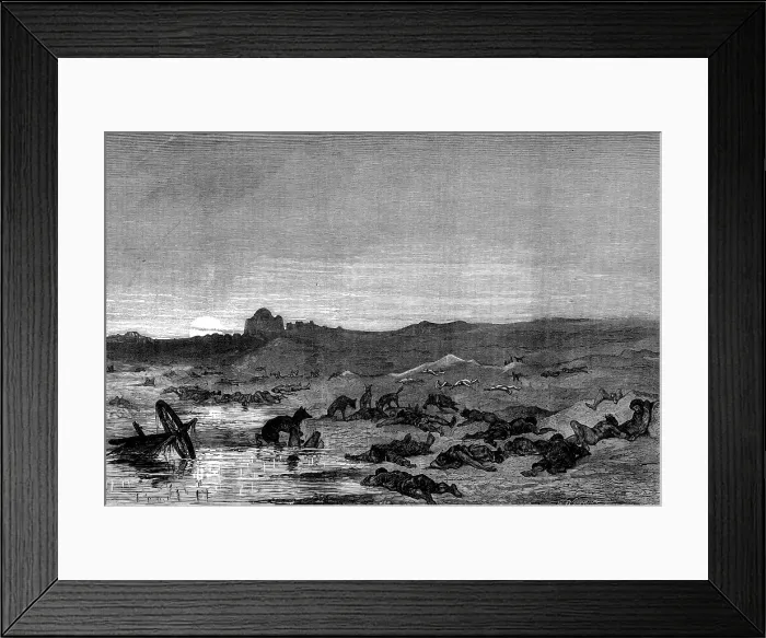 Framed Print : The Khiva Expedition: liberated Persian slaves slain by Turkomans, 1873. Creator: William Biscombe Gardner Framed Print : The Khiva Expedition: liberated Persian slaves slain by Turkomans, 1873. Creator: William Biscombe Gardner