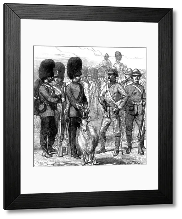 Framed Print : Officers and men of the 23rd Fusiliers in ordinary uniform and as equipped for the Gold Coast, 1873. Creator: Unknown Framed Print : Officers and men of the 23rd Fusiliers in ordinary uniform and as equipped for the Gold Coast, 1873. Creator: Unknown