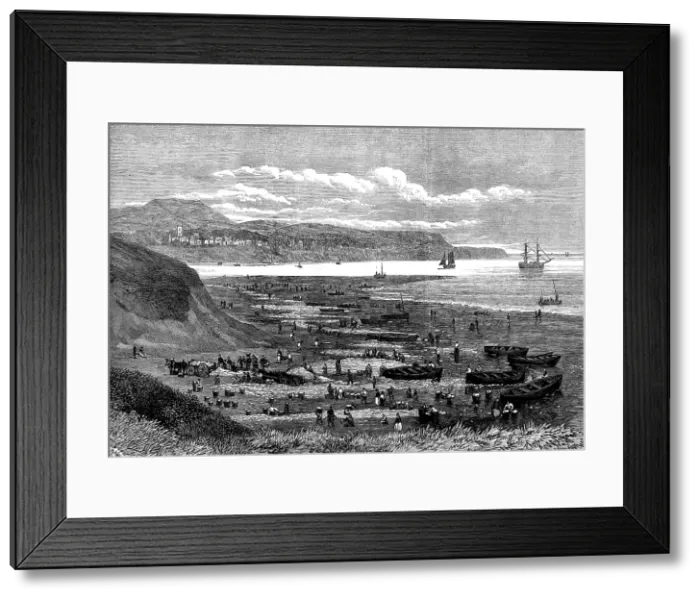 Framed Print : Great take of herring at the mouth of the Exe, 1873. Creator: Unknown Framed Print : Great take of herring at the mouth of the Exe, 1873. Creator: Unknown