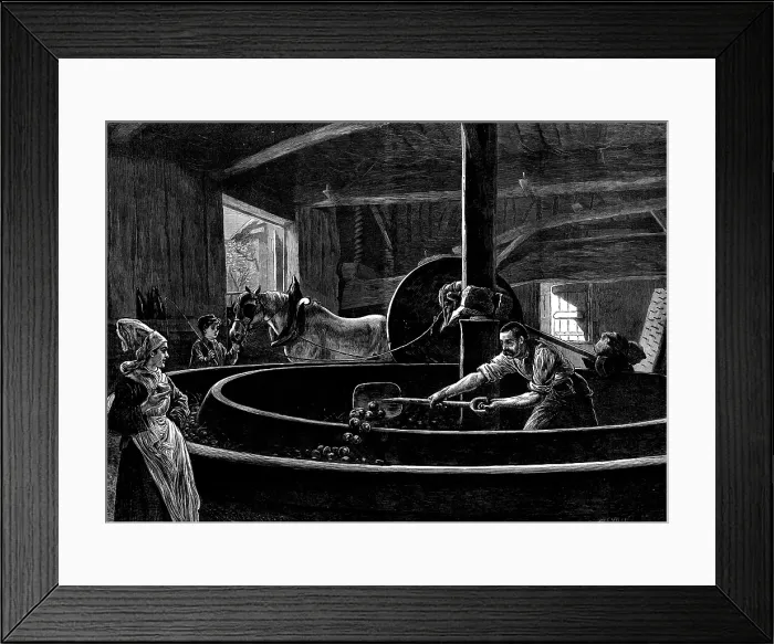 Framed Print : Cider-making in Normandy, 1873. Creator: Jenkin Framed Print : Cider-making in Normandy, 1873. Creator: Jenkin