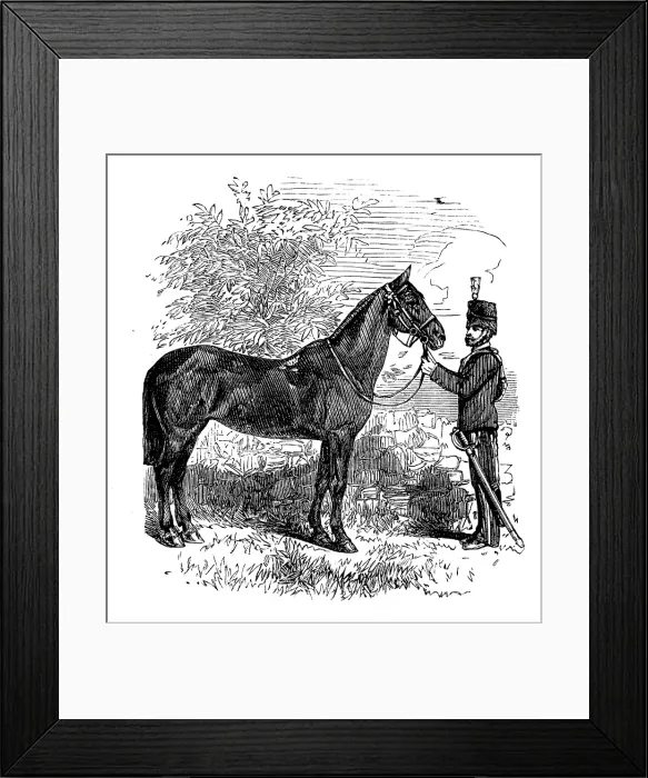 Framed Print : The Balaclava Mare, presented to Her Majesty, 1873. Creator: Unknown Framed Print : The Balaclava Mare, presented to Her Majesty, 1873. Creator: Unknown